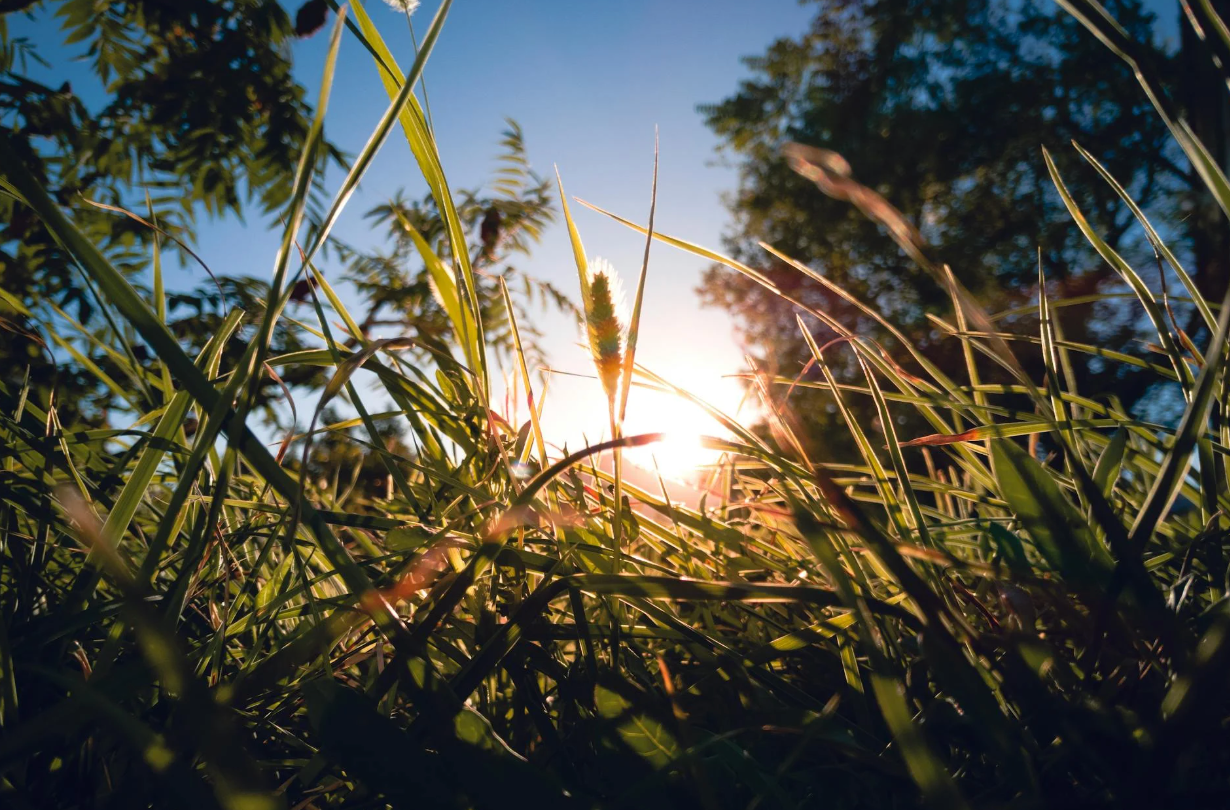 Heb ik extra vitamine D nodig?