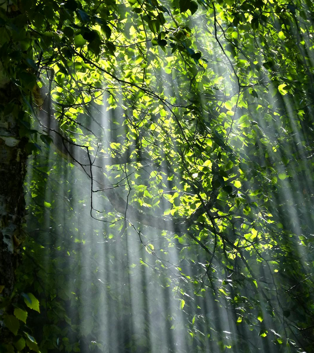 Te veel vitamine D - is dat slecht?
