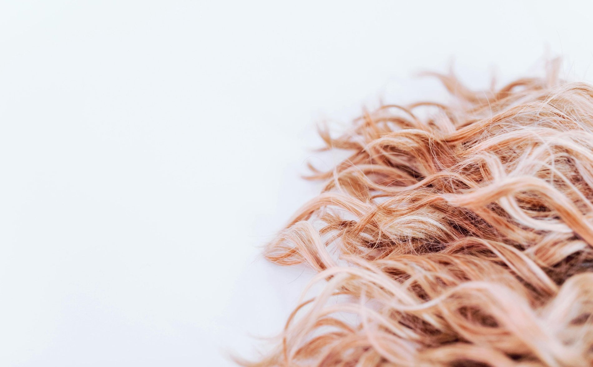 Hoeveel biotine per dag bij haaruitval? - Veganboost